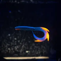 Biteon dragonfire 120 mm/4,7 inç 10 g 01 AYU